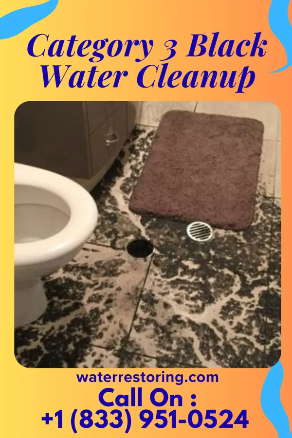 Category 3 Black Water Cleanup in Marlboro Meadows, MD