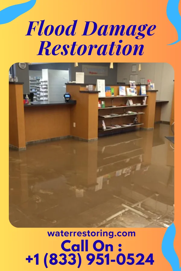 Flood Damage Restoration in Marlboro Meadows, MD