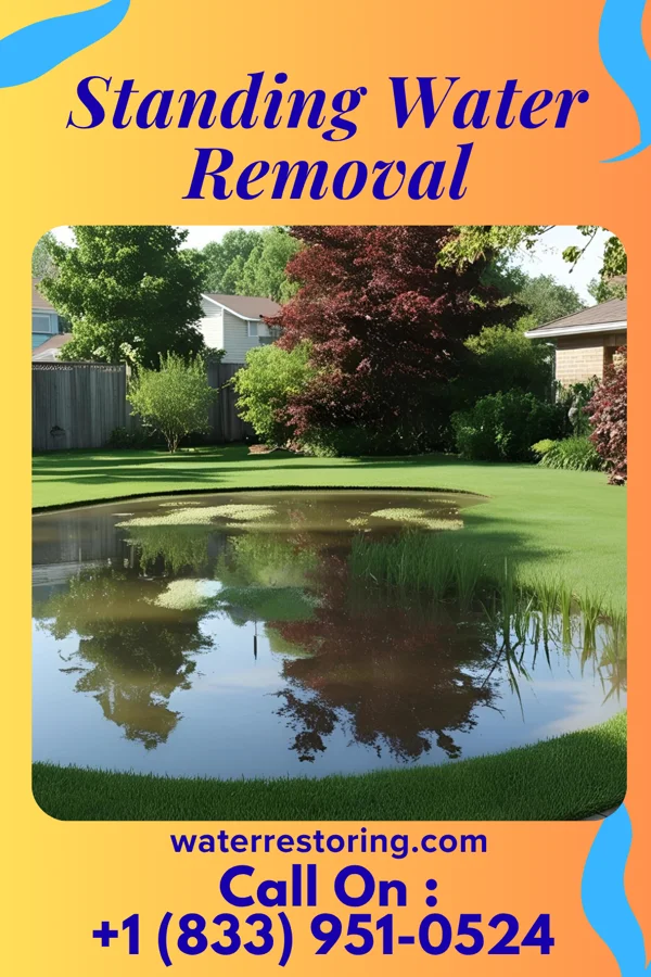 Standing Water Removal in Marlboro Meadows, MD